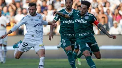 Palmeiras recibe en el Allianz Parque al Santos.