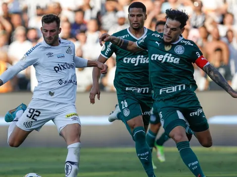 ¿A qué hora juega el Palmeiras de Kuscevic vs Santos por el Brasileirao?