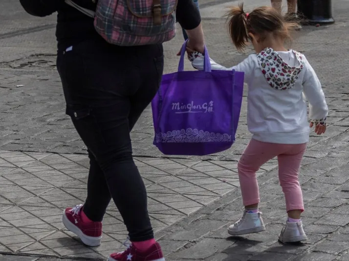 ¿Cuánto dinero entrega el Subsidio Protege?