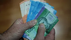 Fecha de pago Subsidio Protege.