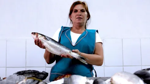 Pago anual del Bono Mujer Trabajadora.