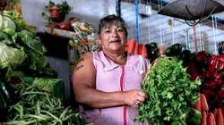 ¿Cómo puedo revisar con mi RUT si me corresponde el Bono al Trabajo de la Mujer?