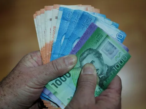 ¿Cuáles son las fechas de pago del IPS y cómo puedo consultar con mi rut?