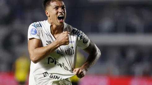 Santos se encuentra en novena posición en la Serie A de Brasil.