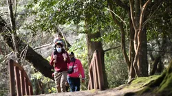 Revisa el siguiente día feriado que habrá en Chile.