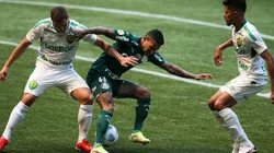 Palmeiras no ha podido ganar en sus últimos tres partidos del Brasileirao.