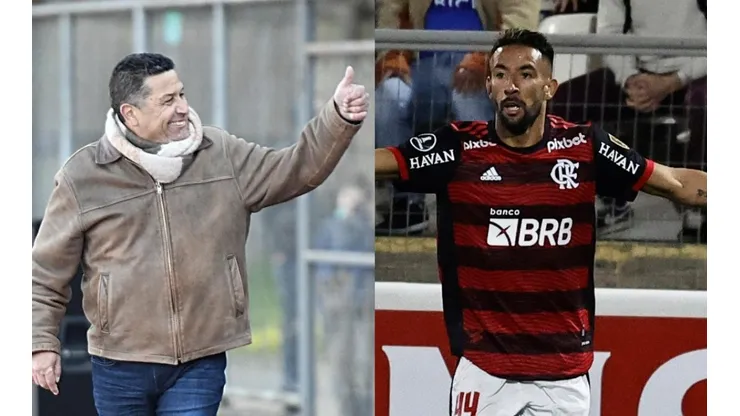 El técnico asegura que la llegada del seleccionado es un plus para la UC