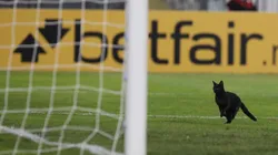 El gato negro que se cruzó en el primer tiempo