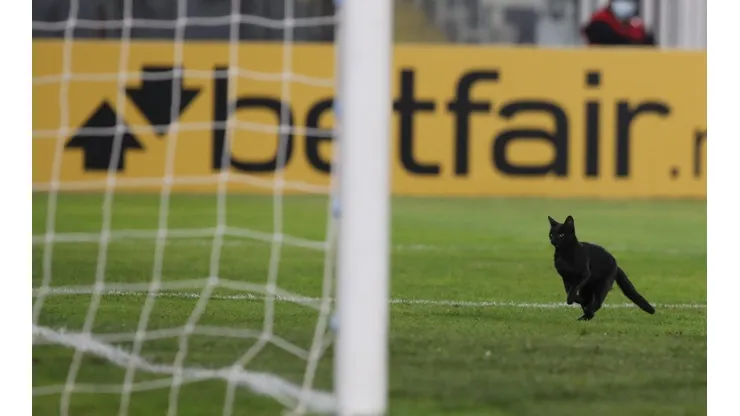 El gato negro que se cruzó en el primer tiempo