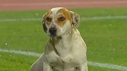 Jhonny fue al baño en el Estadio La Granja