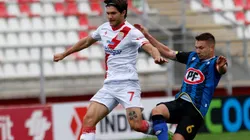 Torteros y acereros se ven las caras en la región del Maule