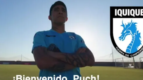 Pucha vuelve a casa.