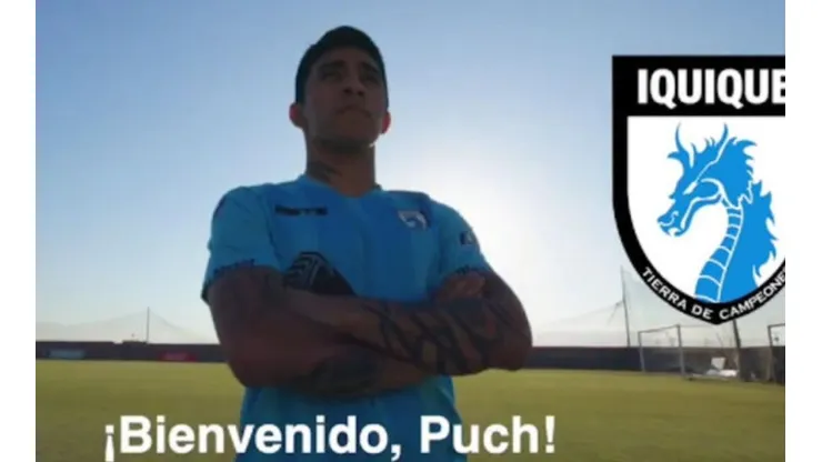 Pucha vuelve a casa.