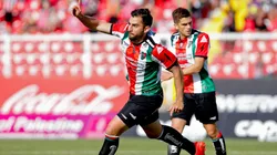 Palestino confirma dos renovaciones y el regreso de un jugador.