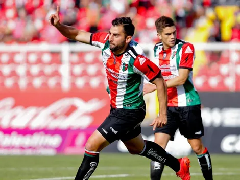 Palestino confirma dos renovaciones y el regreso de un jugador