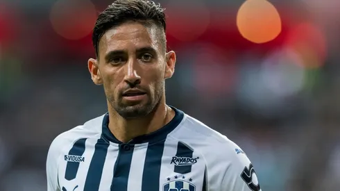 El charrúa es una de las opciones que se barajarían en la precordillera para reforzar