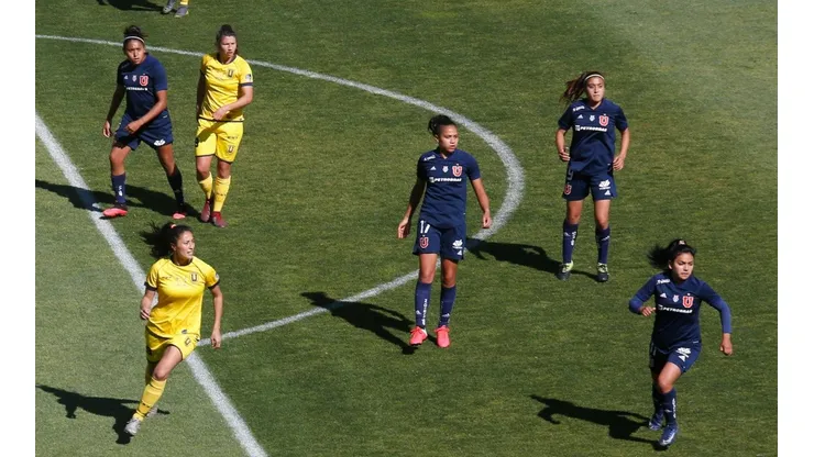 Las 'Leonas' tendrán que ir a la octava región para iniciar el los play-offs