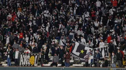 CSD Colo Colo celebra la suma de 50 mil socios y socias al día.