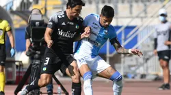 Los Pumas recibirán al Capo de Provincia en el Calvo y Bascuñan con público