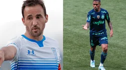 U. Católica vs. Palmeiras: Fecha, hora y canal para ver EN VIVO por la Copa Libertadores.