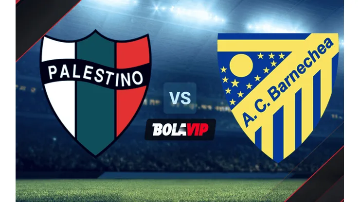A qué hora juegan Palestino vs. Barnechea por la Copa Chile