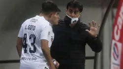 La formación que prepara Colo Colo para enfrentar a Palestino.