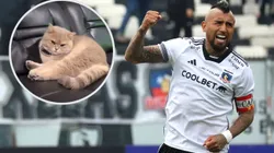 Aparece el gatito de Arturo Vidal. (Foto: Photosport)