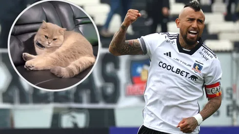 Aparece el gatito de Arturo Vidal. (Foto: Photosport)