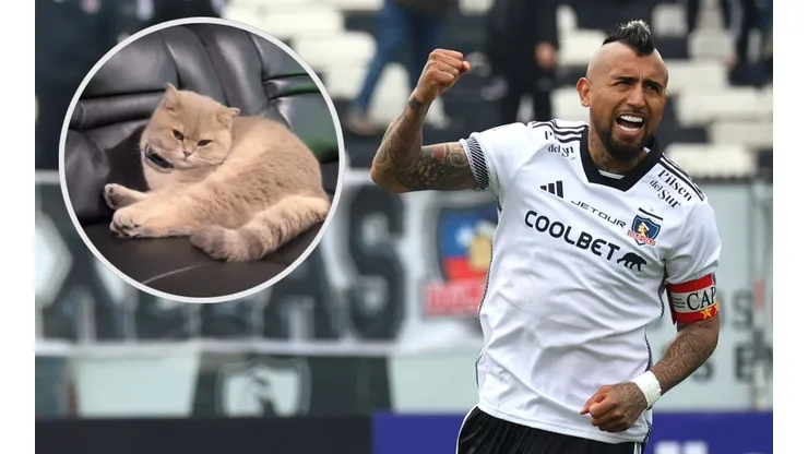 Aparece el gatito de Arturo Vidal. (Foto: Photosport)