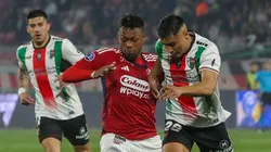 En Colombia no le ven chances a Palestino.