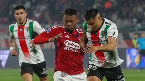 En Colombia no le ven chances a Palestino.