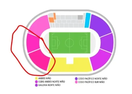 Ese será el lugar asignado a hinchas venezolanos (Captura)