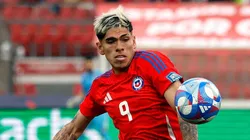 Palacios se bajó de la Selección Chilena.