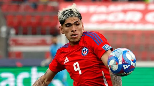 Palacios se bajó de la Selección Chilena.