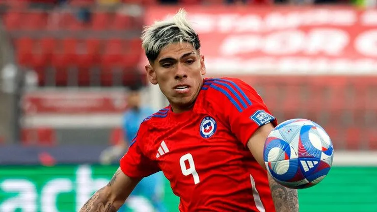 Palacios se bajó de la Selección Chilena.