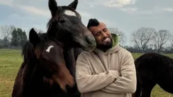 Vidal presentó su nuevo caballo a través de su cuenta de Instagram.