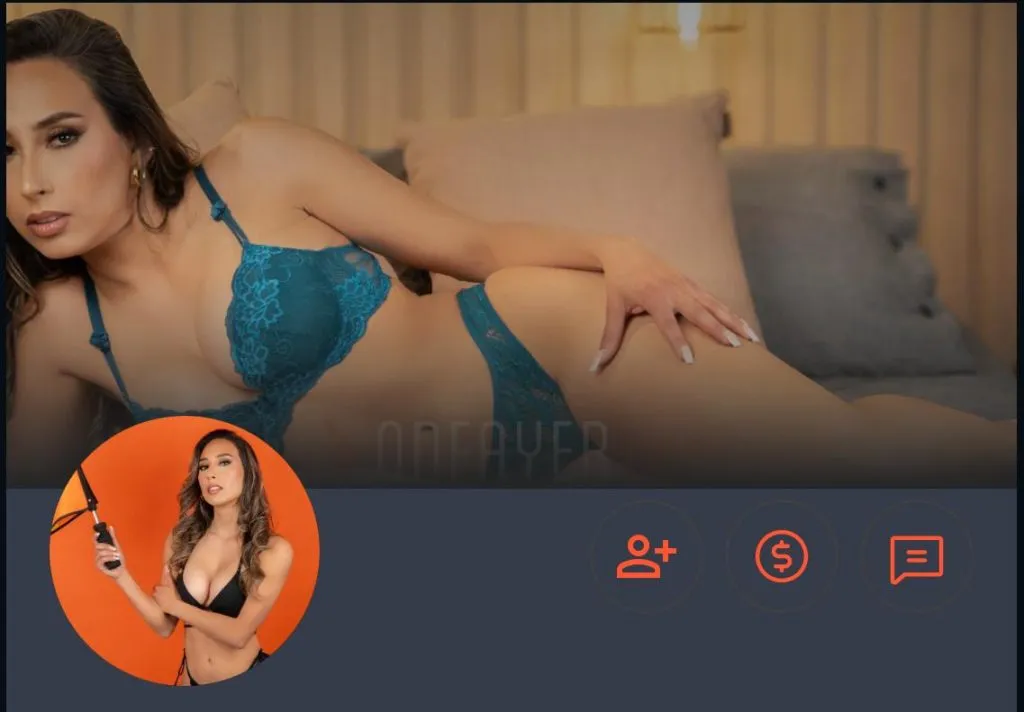 Así es la presentación de su perfil (Onfayer)