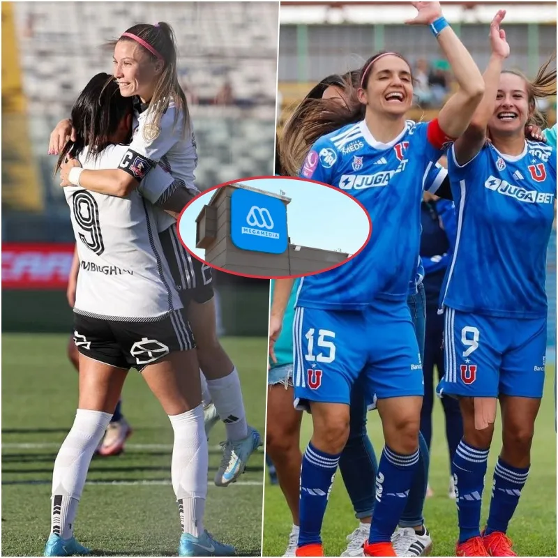 Las Albas y Las Leonas ¿Quiénes serán las campeonas? (Instagram/Archivo)