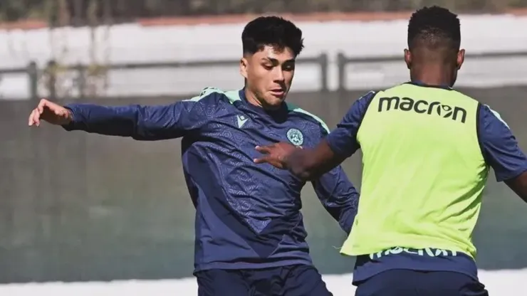 Damián Pizarro se someterá a una prueba de fuego en el Udinese.