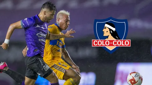 El jugador que asoma como opción para reforzar a Colo Colo