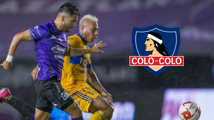 El jugador que asoma como opción para reforzar a Colo Colo