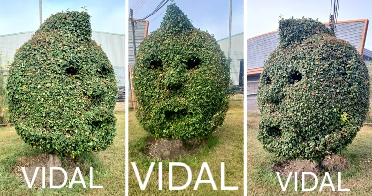 Este es el homenaje a Arturo Vidal | FOTO: Radio Bio Bio