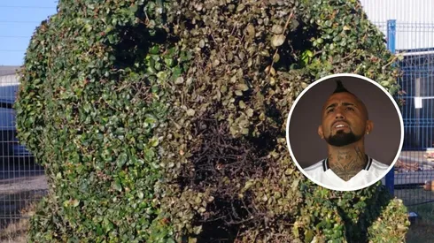 Arturo Vidal reaccionó a su arbusto que fue vandalizado en Talcahuano.