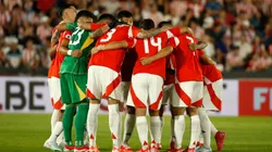 La Roja está en la cornisa (Photosport).