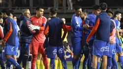 Vaccia reacciona a posible formación azul.