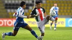 Palestino tendrá un duelo clave ante Cruzeiro en la Copa Sudamericana