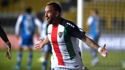 Palestino buscará sumar en Brasil ante Cruzeiro. (Foto: Photosport)