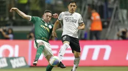 Palmeiras y Botafogo se verán las caras en esta jornada