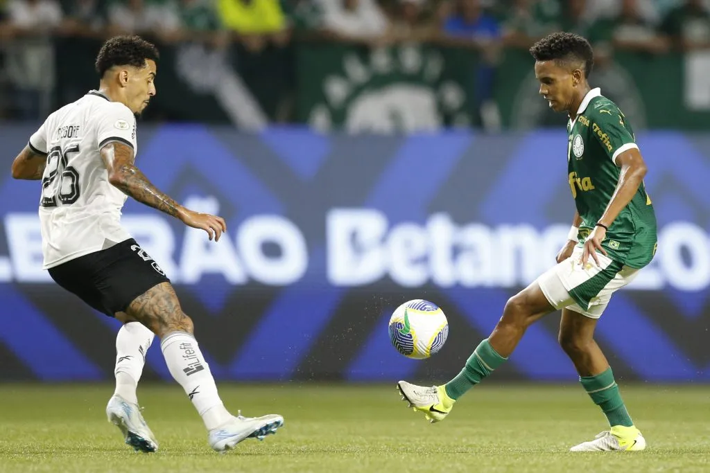 Palmeiras y Botafogo se ven las caras hoy | Foto: Getty Images