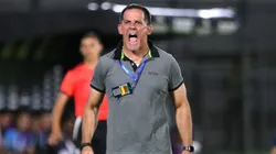 Bernay le tiró flores a la U.